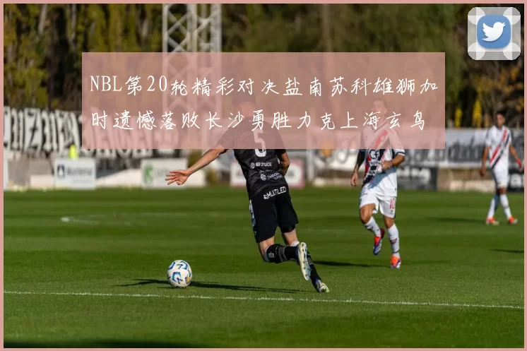 NBL第20轮精彩对决盐南苏科雄狮加时遗憾落败长沙勇胜力克上海玄鸟